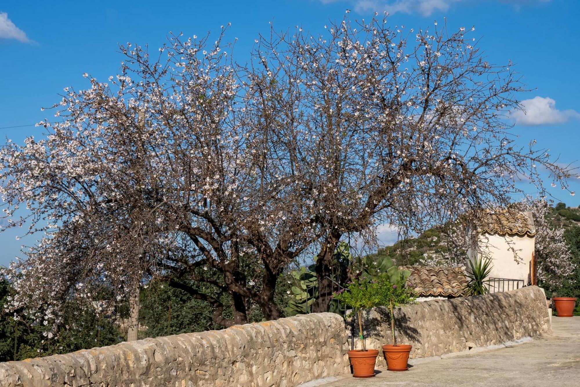 Apartamento La Dimora Delle Coste Comiso Exterior foto